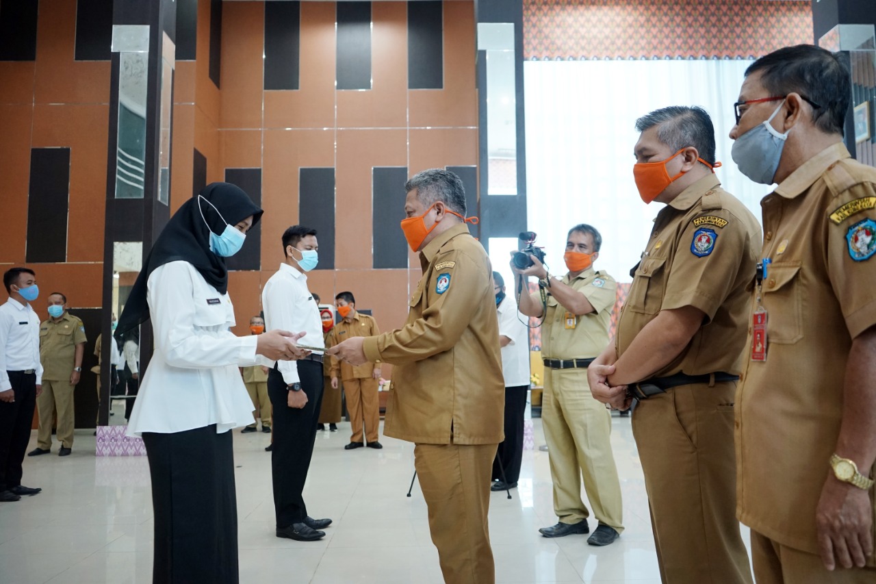 CPNS Dianggap Mundur Jika Tak Komit 10 Tahun