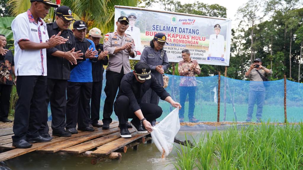 Bupati Kapuas Hulu: Mina Padi Alternatif Cara Efektif Tingkatkan Produktivitas Pertanian Perikanan