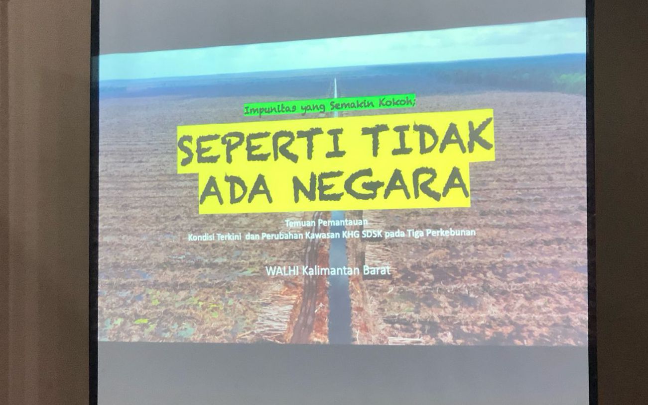 Walhi Kalbar: Seperti Tidak Ada Negara untuk Pulihkan Kerusakan Gambut