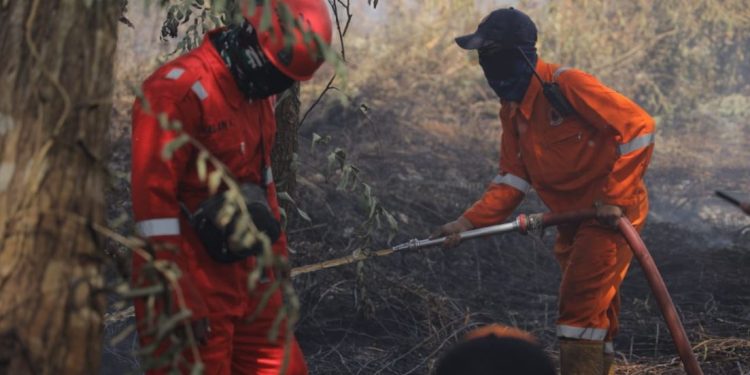 BPBD Pontianak Curigai Kebakaran Lahan Disengaja, Api Sempat Dekati Permukiman