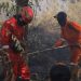 BPBD Pontianak Curigai Kebakaran Lahan Disengaja, Api Sempat Dekati Permukiman