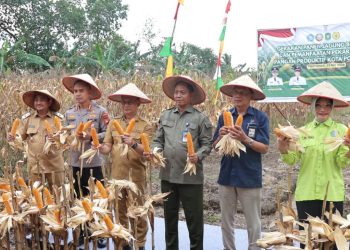 Petani Pontianak Utara Andalkan Lahan Pemerintah untuk Bertani