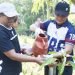 Pemkot Pontianak Dorong Penghijauan dan Pengolahan Sampah Ramah Lingkungan