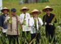 Wamentan Panen Lidah Buaya di Pontianak, Pemkot Pertahankan Lahan Pertanian Perkotaan