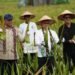 Wamentan Panen Lidah Buaya di Pontianak, Pemkot Pertahankan Lahan Pertanian Perkotaan