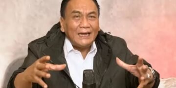 Wakil Ketua MPR Soroti Peran Wapres dalam Penanganan Papua