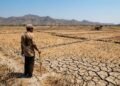 DPR Dorong BNPB Perkuat Mitigasi El Nino dan Musim Kemarau 2026