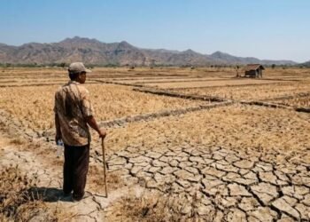 DPR Dorong BNPB Perkuat Mitigasi El Nino dan Musim Kemarau 2026
