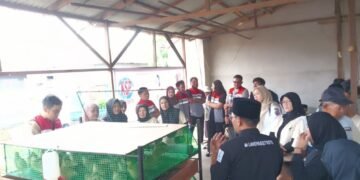 Dari Pekarangan Rumah, Warga Siantan Hilir Menumbuhkan Ketahanan Pangan