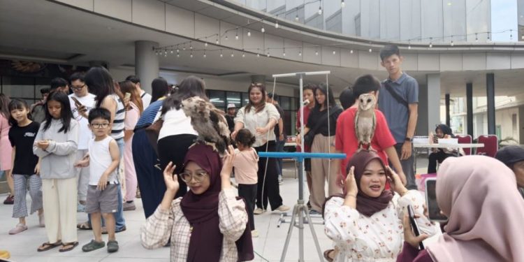 Komunitas Pecinta Satwa Eksotik Hadirkan Edukasi di Mal Gaia Pontianak