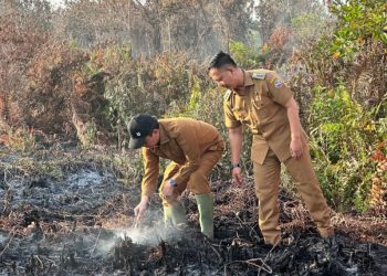 Pemkot Pontianak Perkuat Pengawasan Usai Kebakaran Lahan di Pontianak Tenggara