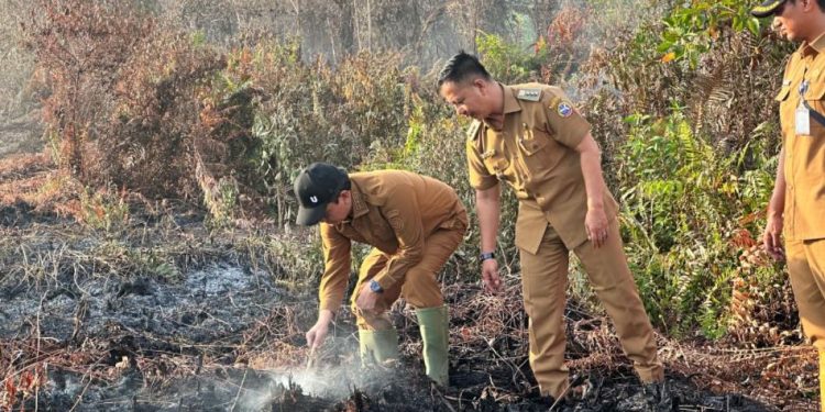 Pemkot Pontianak Perkuat Pengawasan Usai Kebakaran Lahan di Pontianak Tenggara