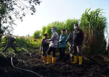 Kebakaran Lahan di Perbatasan Mempawah, Wali Kota Pontianak Minta Bantuan Provinsi