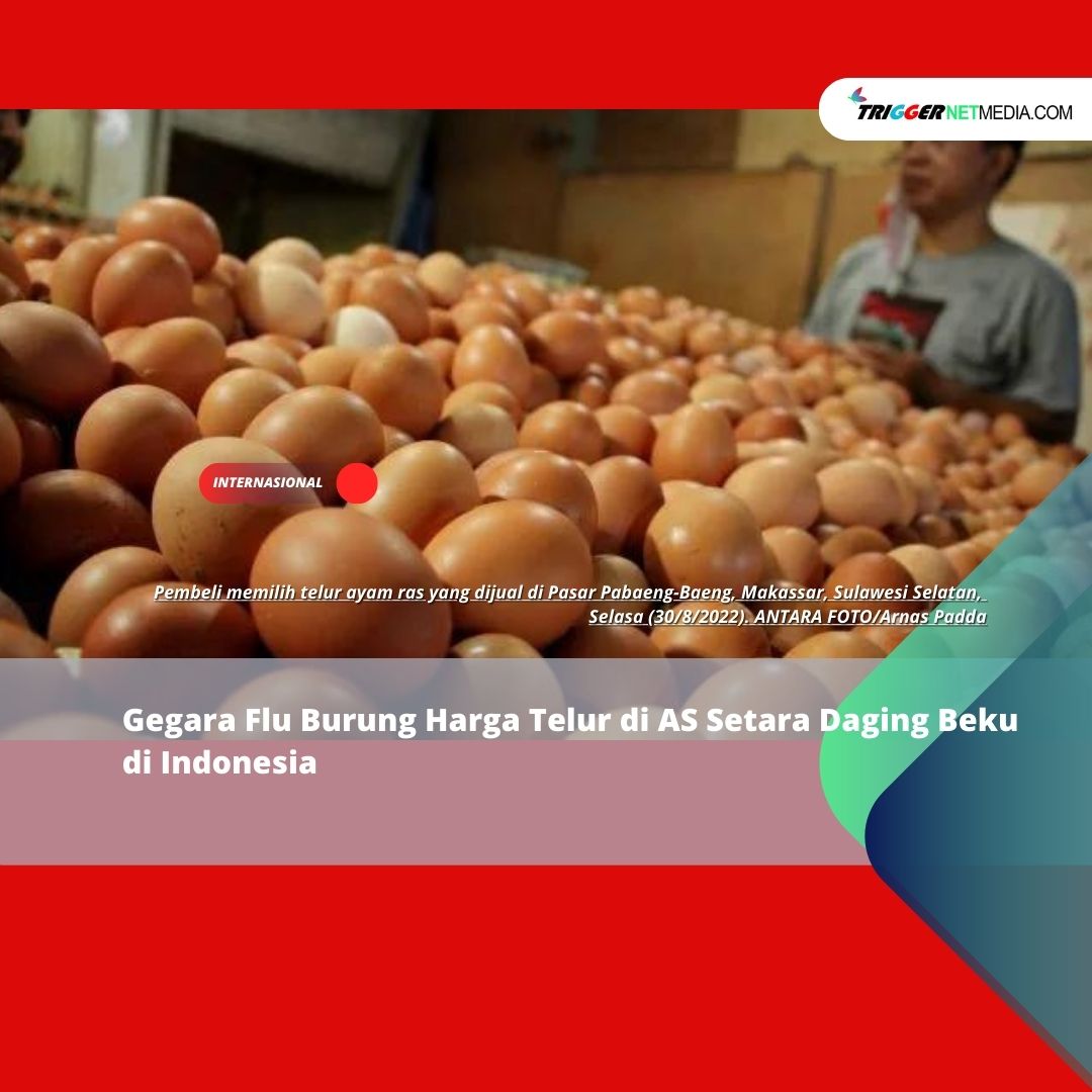Gegara Flu Burung Harga Telur di AS Setara Daging Beku di Indonesia