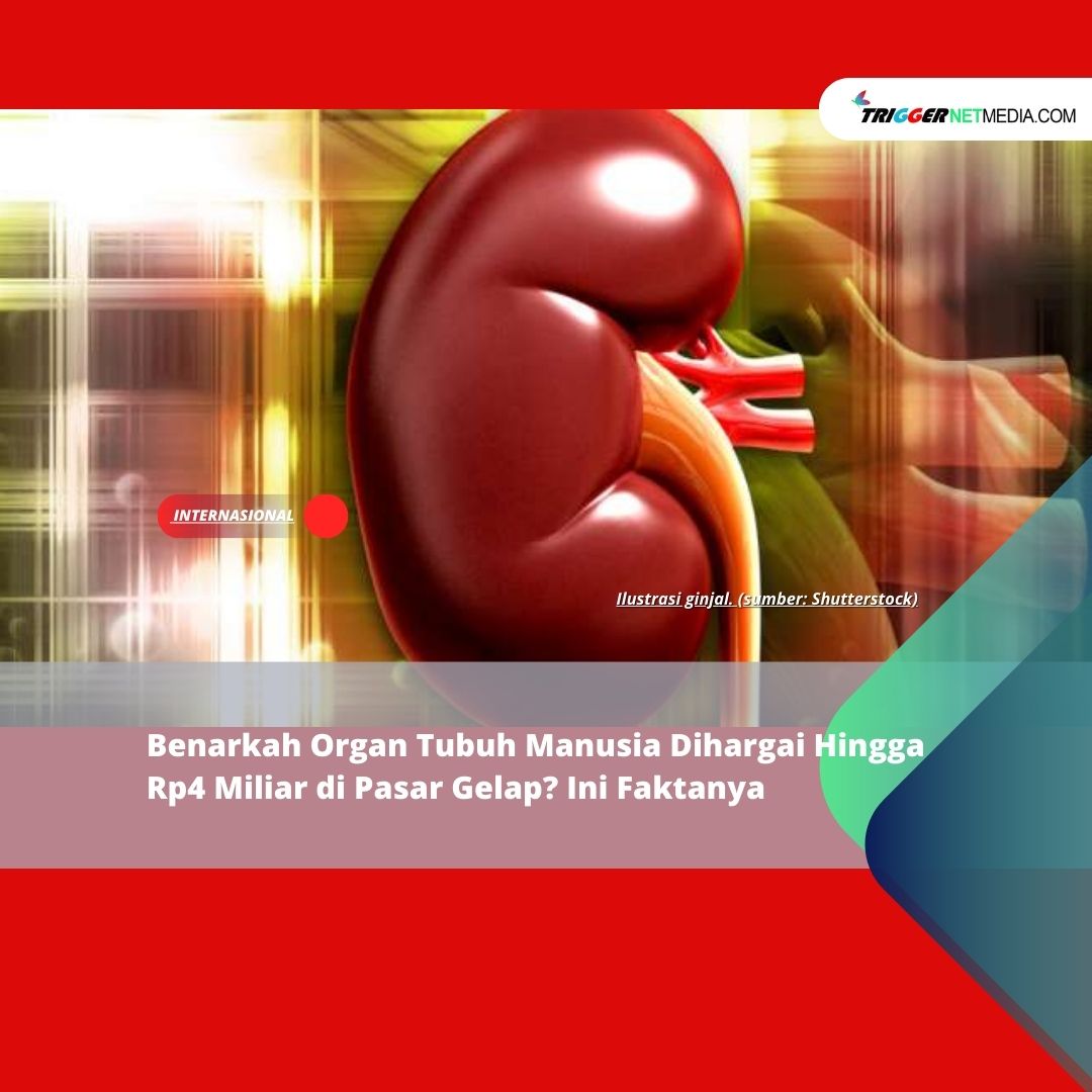 Benarkah Organ Tubuh Manusia Dihargai Hingga Rp4 Miliar di Pasar Gelap? Ini Faktanya