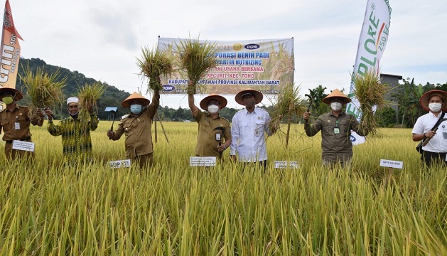Kembangkan Varieras Inpari IR Nutri Zinc, Wabup Mempawah: Solusi Alternatif Tangani Stunting