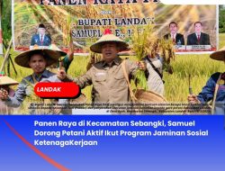 Panen Raya di Kecamatan Sebangki, Samuel Dorong Petani Aktif Ikut Program Jaminan Sosial KetenagaKerjaan