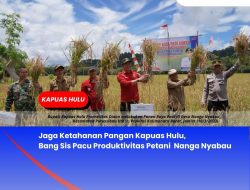 Jaga Ketahanan Pangan Kapuas Hulu, Bang Sis Pacu Produktivitas Petani  Nanga Nyabau