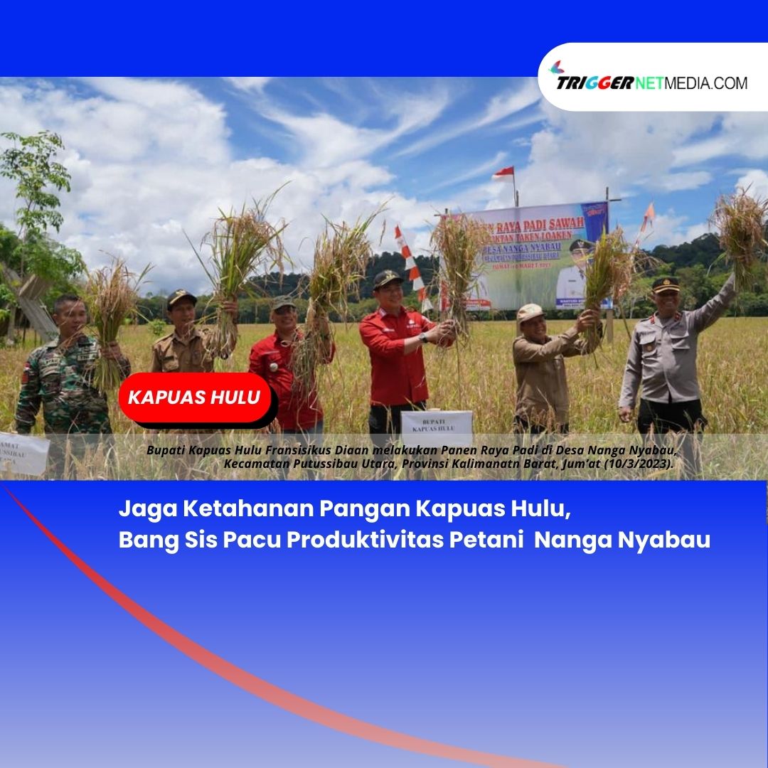 Jaga Ketahanan Pangan Kapuas Hulu, Bang Sis Pacu Produktivitas Petani  Nanga Nyabau