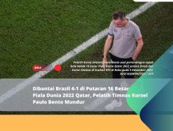 Dibantai Brazil 4-1 di Putaran 16 Besar Piala Dunia 2022 Qatar, Pelatih Timnas Korsel Paulo Bento Mundur