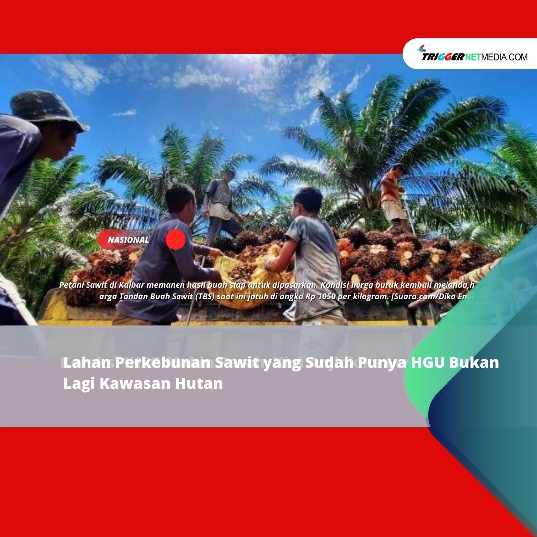 Lahan Perkebunan Sawit yang Sudah Punya HGU Bukan Lagi Kawasan Hutan