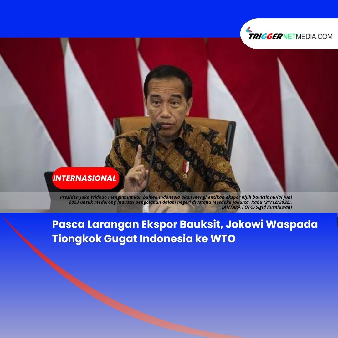 Pasca Larangan Ekspor Bauksit, Jokowi Waspada Tiongkok Gugat Indonesia ke WTO