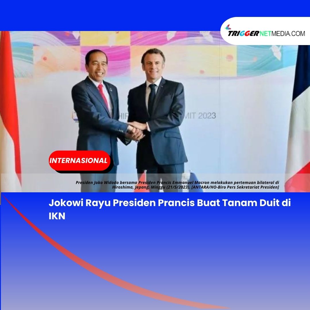 Jokowi Rayu Presiden Prancis Buat Tanam Duit di IKN