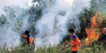 Hotspot Kalimantan Capai 10.896 Titik, Kementan Perketat Pencegahan Karhutla di Perkebunan