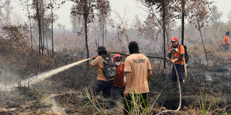 Bantuan Karhutla Rp205 Miliar, Pemprov Kalbar Perkuat Daerah yang Belum Terima Alokasi