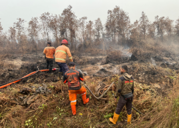Empat Kabupaten di Kalbar Dapat Tambahan Banpres Karhutla, Masing-Masing Rp10 Miliar