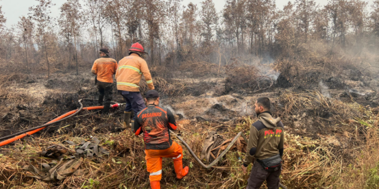 Empat Kabupaten di Kalbar Dapat Tambahan Banpres Karhutla, Masing-Masing Rp10 Miliar
