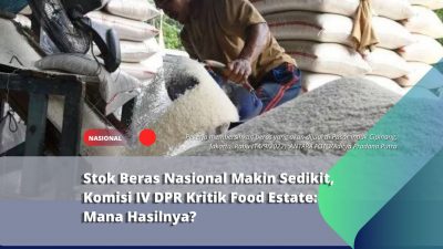 Stok Beras Nasional Makin Sedikit, Komisi IV DPR Kritik Food Estate: Mana Hasilnya?