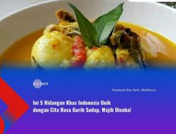 Ini 5 Hidangan Khas Indonesia Unik dengan Cita Rasa Gurih Sedap, Wajib Dicoba!