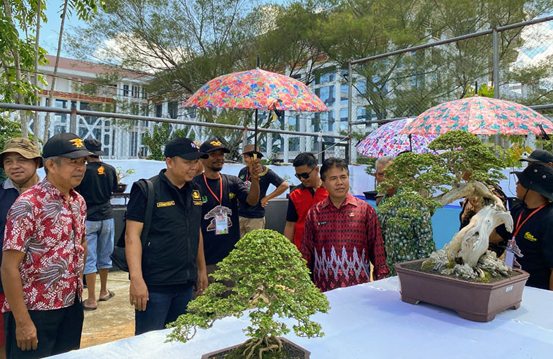 “Bonsai Menuju Landak Edo” Membawa Pesona Seni Bonsai ke Kabupaten Landak