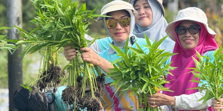 Pekarangan Jadi Sumber Pangan Sehat, PKK Pontianak Gencarkan Edukasi