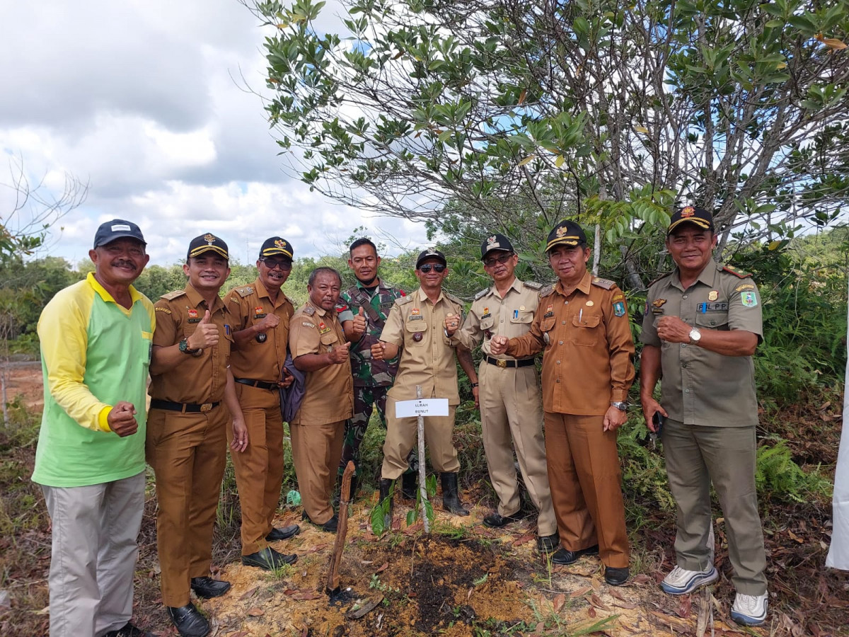Dukung Indonesia FOLU Net Sink 2030, Pemkab Sanggau Tanam Ribuan Bibit Pohon