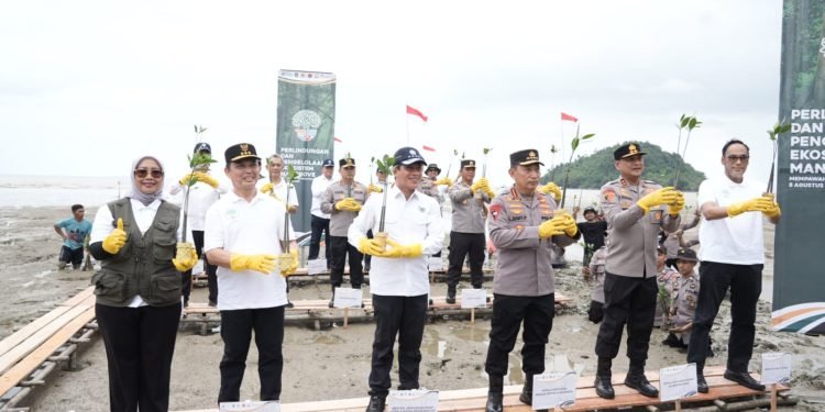 Penanaman Mangrove di Mempawah, Komitmen Bersama Jaga Ekosistem Pesisir