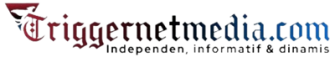 Trigger Netmedia