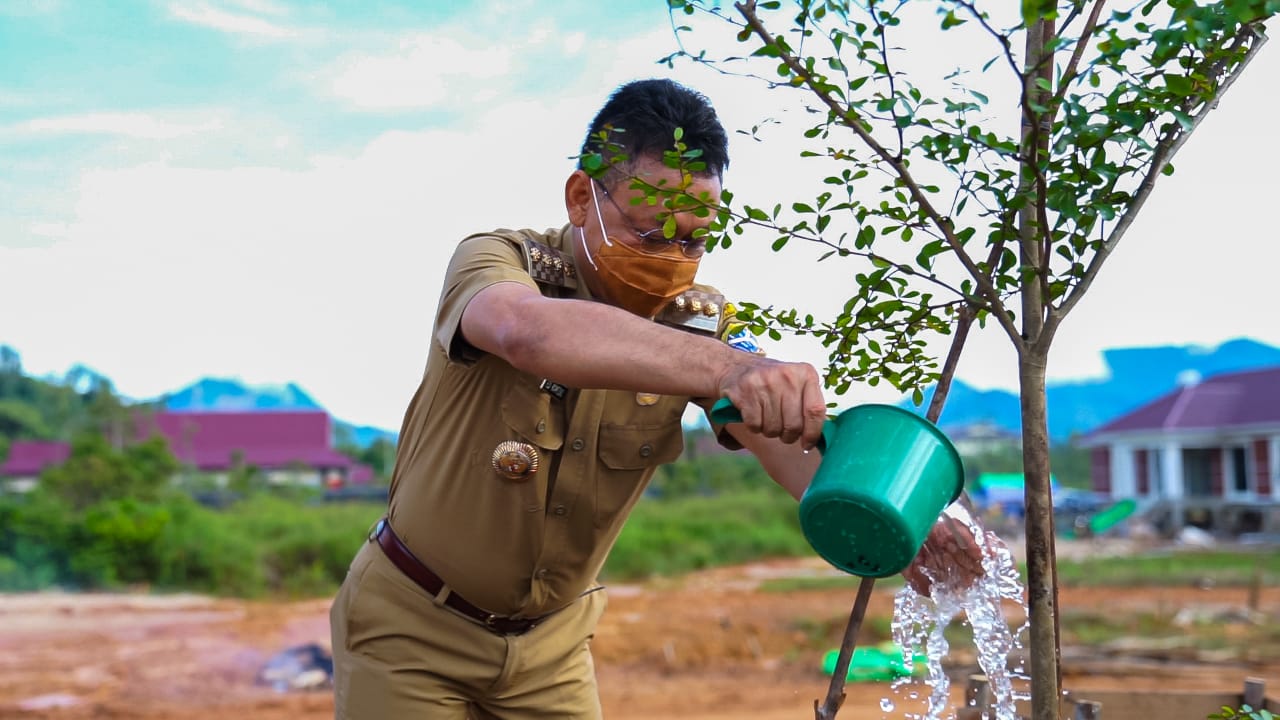 Peringatan Hari Pohon Sedunia