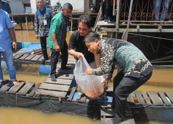 Dukung Pembudidaya Ikan Lewat Bantuan Benih dan Pakan