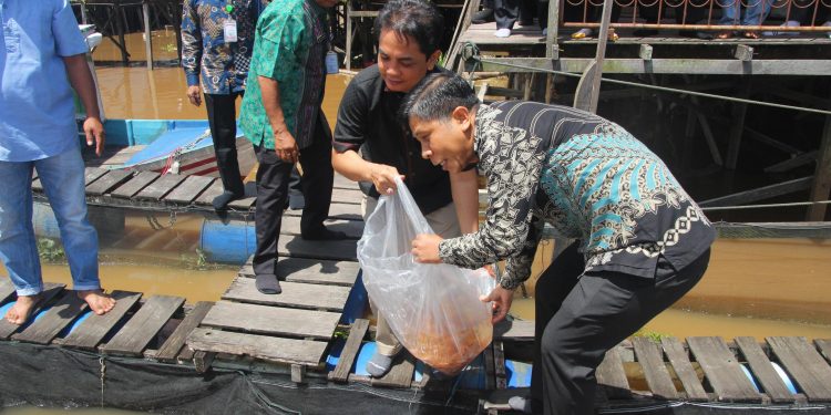 Dukung Pembudidaya Ikan Lewat Bantuan Benih dan Pakan