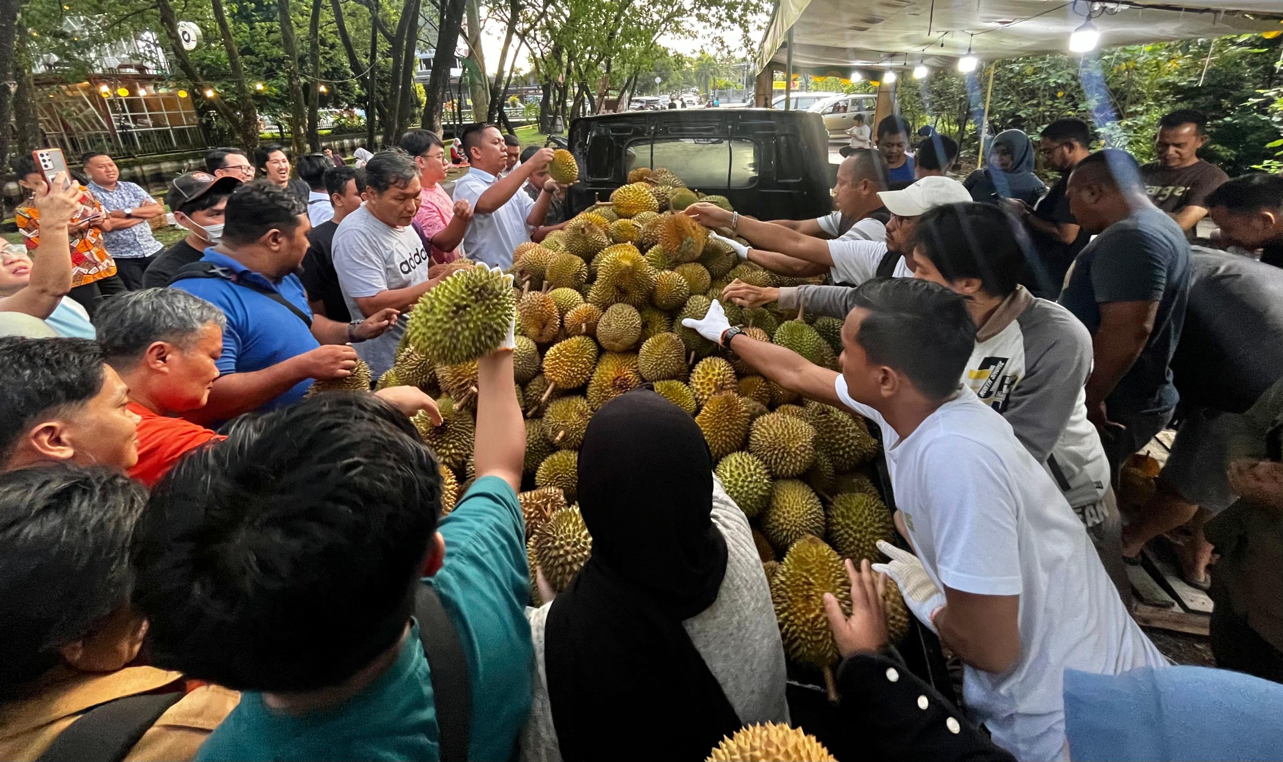 Durian Jemongko Jadi Rebutan di Pontianak, 1000 buah Ludes dalam 30 menit!