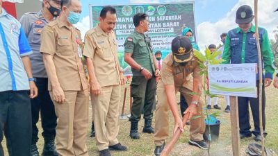 Tanam 4200 Bibit Pohon Bareng Pelajar, Sekda Landak: Jadikan Kalimantan Barat Teduh, Hijau dan Lestari