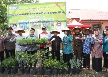 Forum Kuponwah Canangkan Gerakan Menanam Cabai, Pemkot Pontianak Bagikan 25 Ribu Bibit