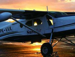 Pesawat Susi Air Dilaporkan Hilang Kontak Di Papua