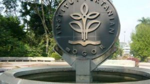 IPB Teratas, Ini Daftar 15 Perguruan Tinggi Golongan Klaster I di Indonesia