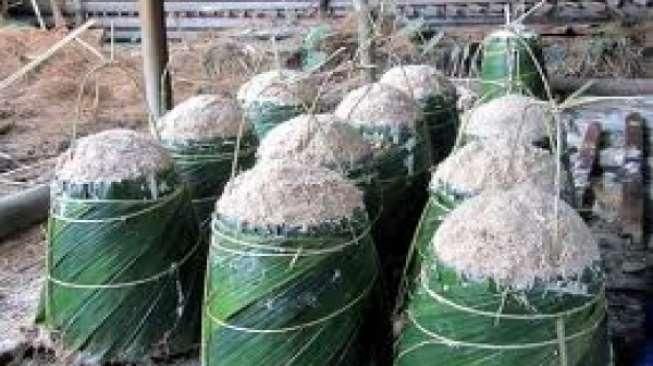 Pemerintah Diminta Kembangkan Sagu Sebagai Pangan Nasional