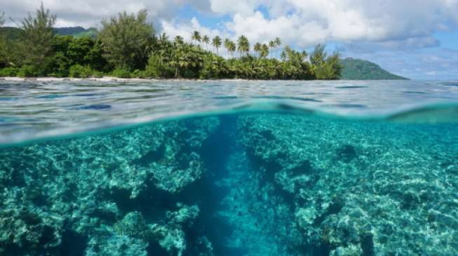 Pemerintah Komitmen Membangun Indonesia dari Pinggiran