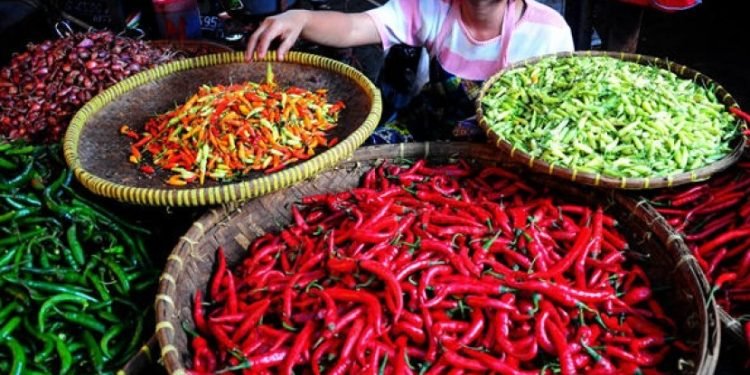 Harga Cabai Melonjak, Tekanan Pangan Nasional Berlanjut