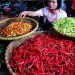 Harga Cabai Melonjak, Tekanan Pangan Nasional Berlanjut